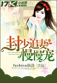 封少追妻慢慢宠封面
