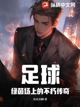 足球：绿茵场上的不朽传奇封面