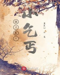 我只是个小乞丐封面