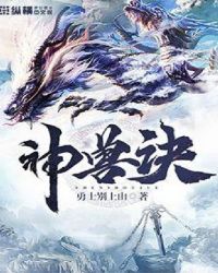 神兽诀封面
