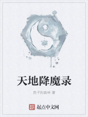 天地降魔录封面