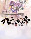 九天武帝封面