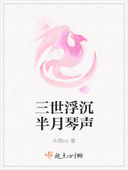 三世浮沉半月琴声封面