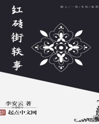 红砖街轶事封面
