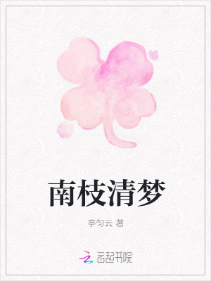 南枝清梦封面