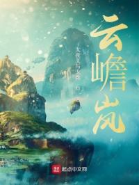 云嶦岚封面