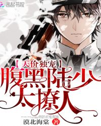 天价独宠:腹黑陆少太撩人封面