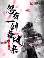 忽有一剑春风来封面