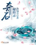 奇石秘修录封面