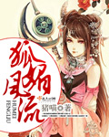 狐媚风流封面