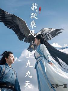 我欲乘风上九天封面