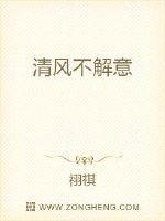 清风可否解意封面