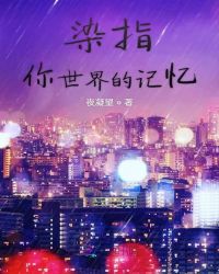 染指你世界的记忆封面