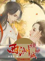 西洲缥缈城封面