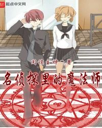 名侦探里的魔法师封面