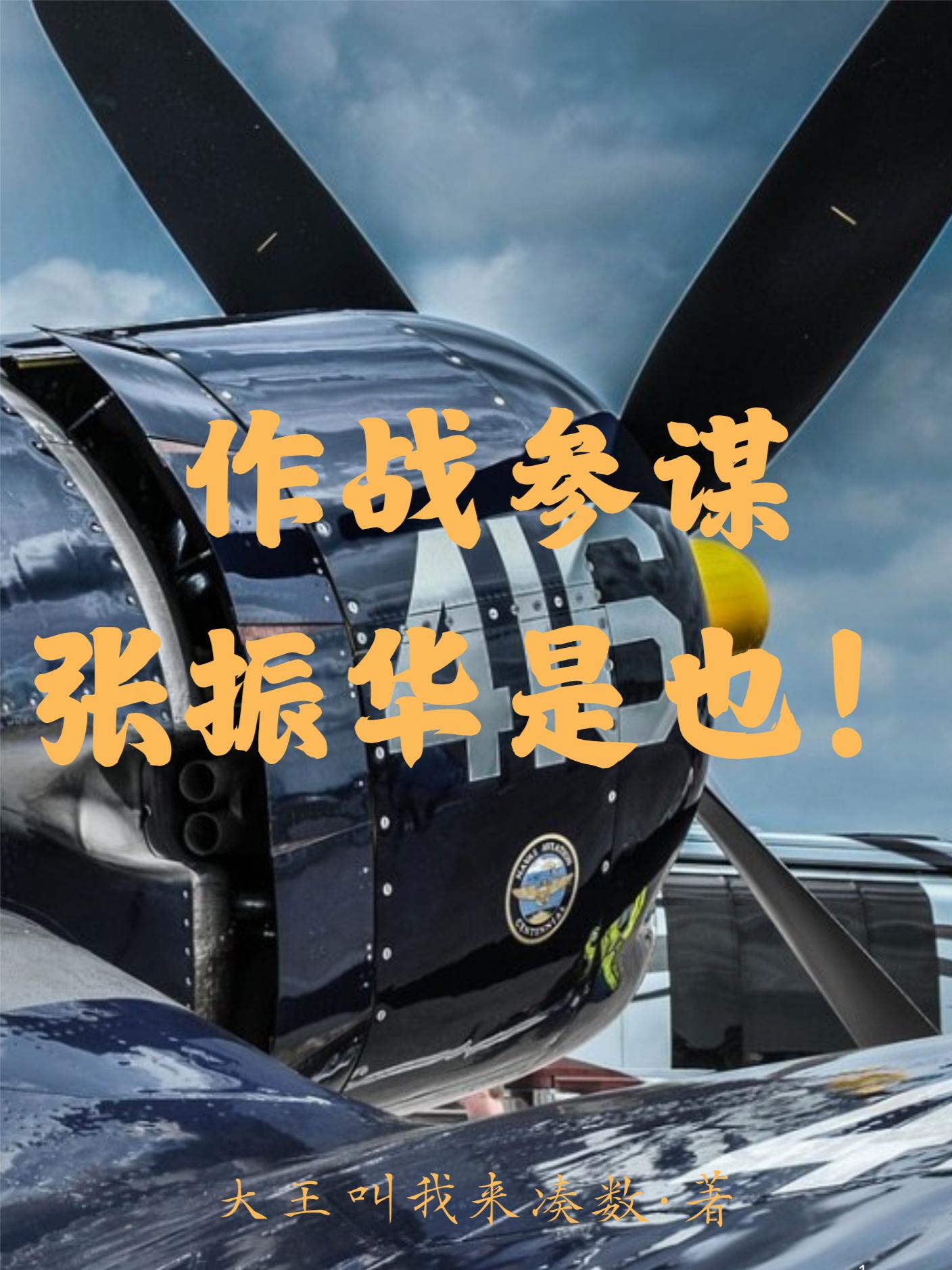 作战参谋张振华是也！封面