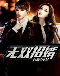 无双招婿封面