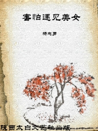 害怕遇见美女（全本）封面