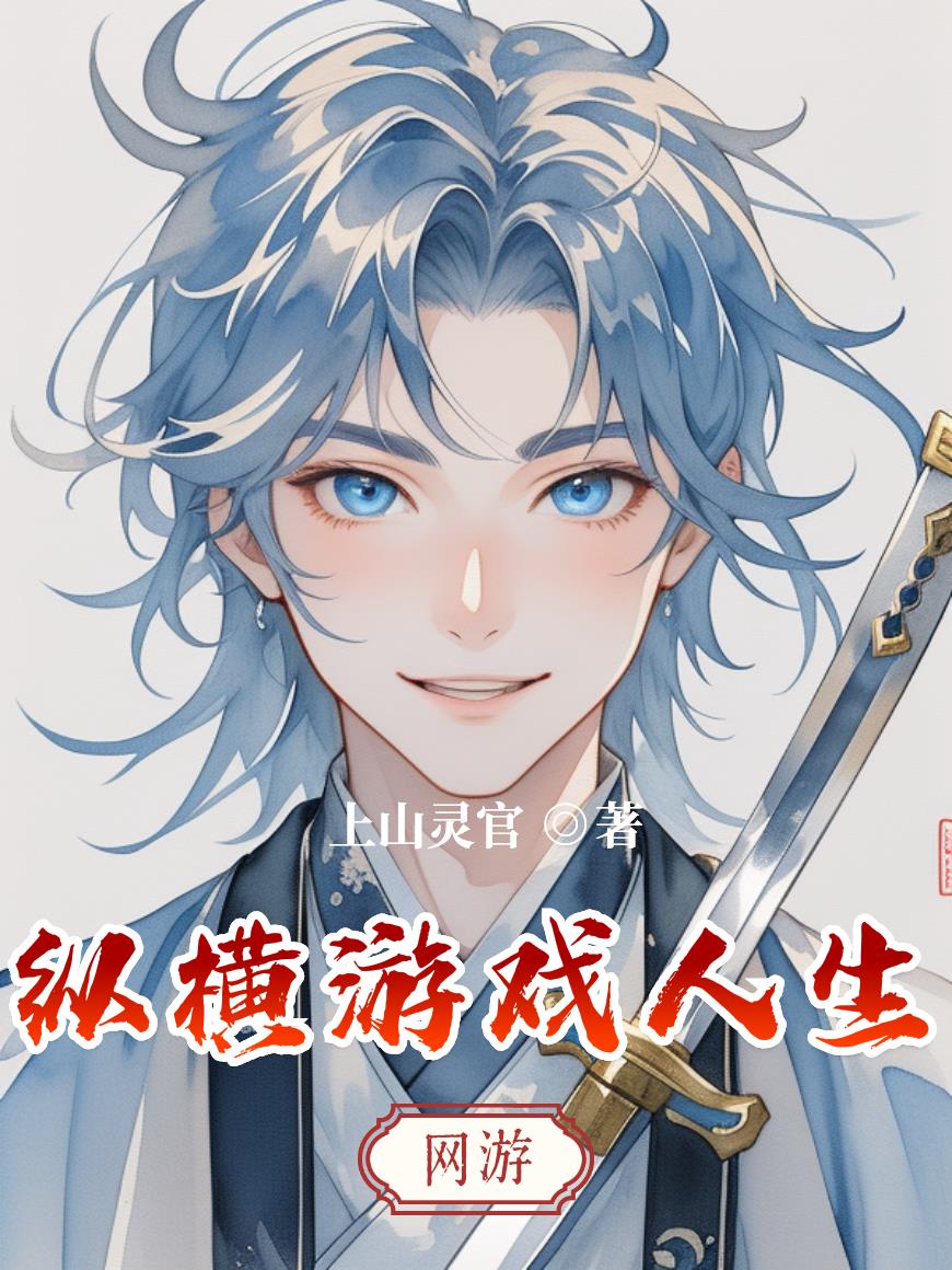 纵横游戏人生封面