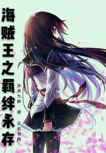 海贼王之羁绊永存封面