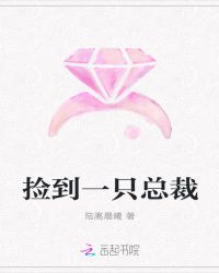 捡到一只总裁封面