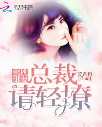 蜜枕甜妻：总裁，请轻撩封面