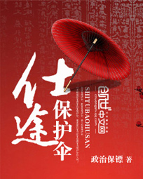 仕途保护伞封面