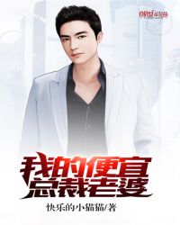 我的便宜总裁老婆封面