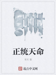 正统天命封面