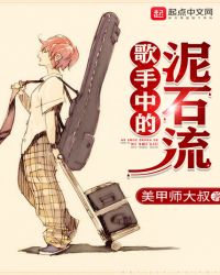 歌手中的泥石流封面