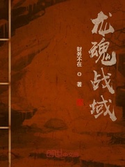 龙魂战域封面