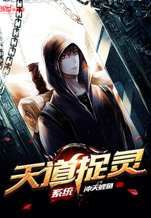 天道捉灵系统封面