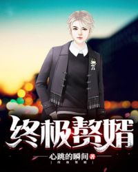 终极赘婿封面
