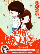 不良娇妻：老师，晚上好封面