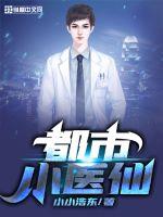 都市小医仙封面