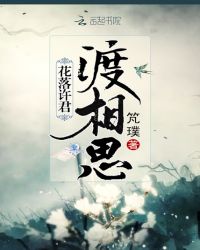 花落许君渡相思封面