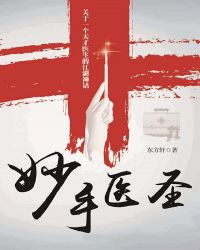 妙手医圣封面