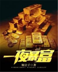 一夜暴富封面