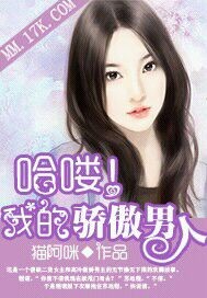 我的傲娇男人封面