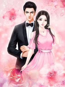 冰冷总裁霸道妻封面