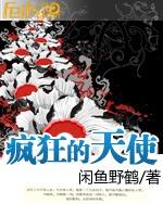 疯狂的天使封面