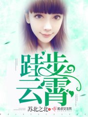 跬步云霄封面