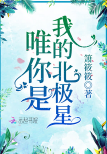 唯你是我的北极星封面