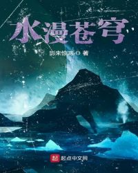水漫苍穹封面