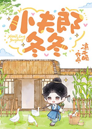 小夫郎冬冬封面