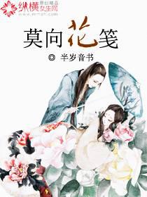 莫向花笺封面