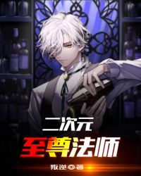 二次元至尊法师封面