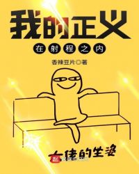 我的正义在射程之内封面