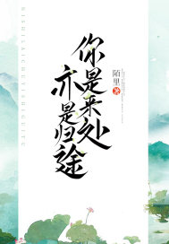 你是来处亦是归途封面