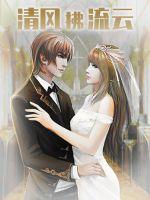 清风拂流云封面